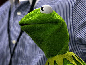 Kermit The Frog