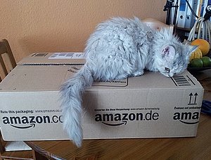 Katze auf Amazon-Karton