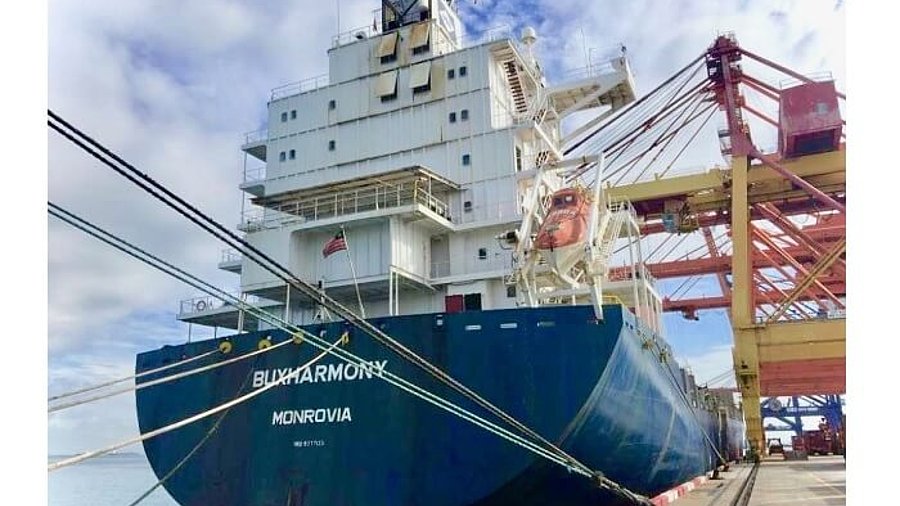 Containerschiff Buxharmony im Dock 