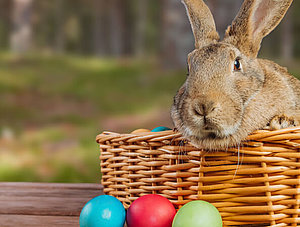 Osterhase und Eier