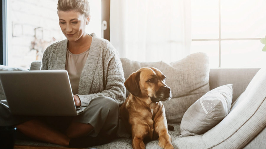 Frau mit Laptop und Hund