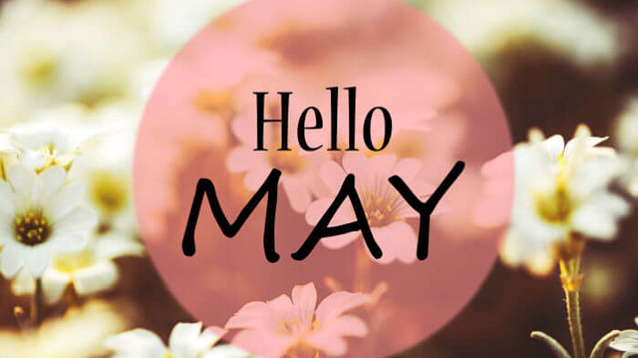 Blumen mit dem Schriftzug „Hello May“