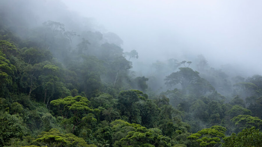 Wolkenbildung in brasilianischem Amazonas Regenwald