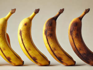 Ein realistisch dargestelltes Bild zeigt eine Banane, die langsam verrottet. Die Banane beginnt auf der einen Seite frisch und gelb, und ver&auml;ndert sich zu braun und fleckig, bis sie schlie&szlig;lich vollst&auml;ndig verfault ist.