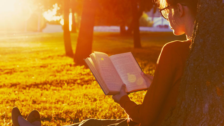 Frau mit Buch im Park