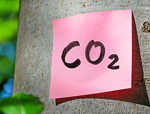 CO2 auf Klebezettel an Baum