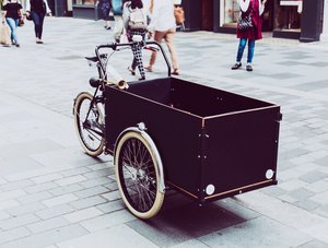 Cargo Bike 