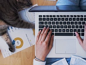 Mensch mit Katze und Laptop auf dem Boden