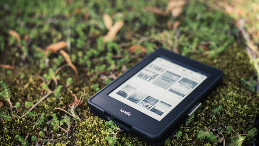 Kindle im Gras