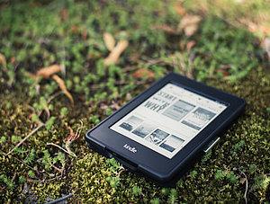 Kindle im Gras