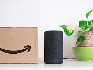 Alexa, Amazon-Paket und Pflanze