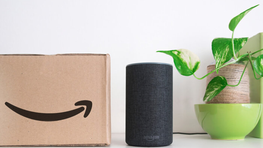 Alexa, Amazon-Paket und Pflanze