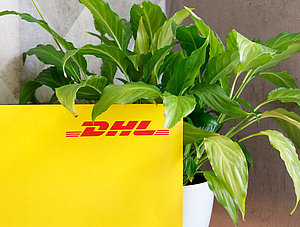 DHL Paket mit Pflanze