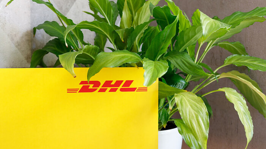 DHL Paket mit Pflanze