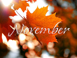 November: Herbstliche News aus dem Hause Amazon in der Zusammenfassung