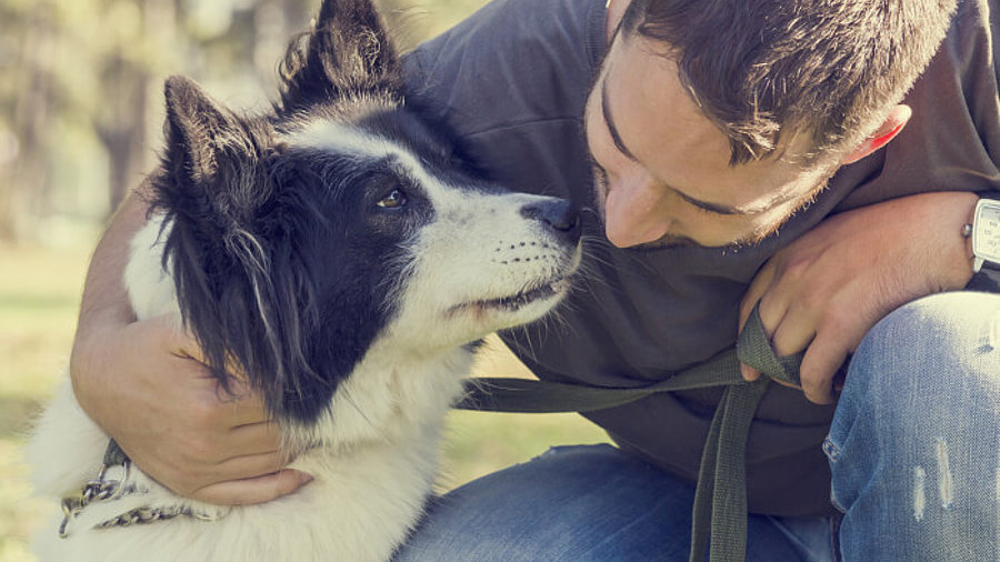 Hund mit seinem Herrchen