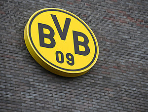 BVB Logo