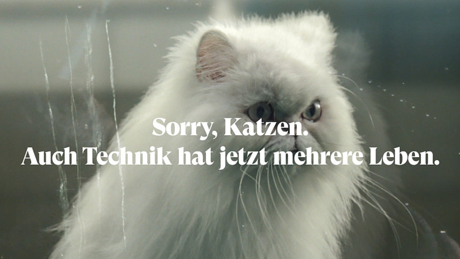 Katze im Back Market Clip