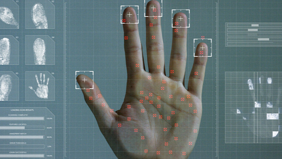 Biometrischer Handscan