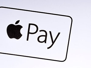 Apple Pay Logo