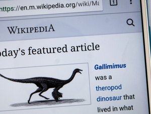 Wikipedia Artikel