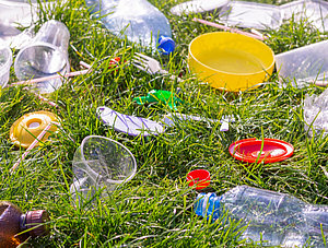 Plastik auf einer Wiese