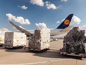 Lufthansa Cargo Beladung am Frankfurter Flughafen