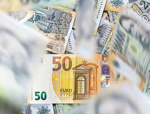 Euro- und Forint-Scheine