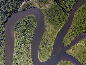 Amazonas