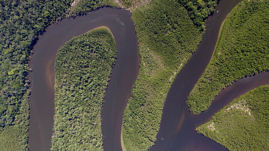 Amazonas