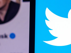 Elon Musk auf Twitter vor Twitter-Logo