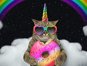 Einhorn-Katze mit Regenbogen