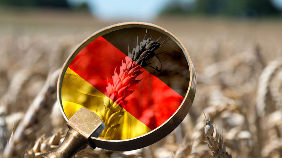 Weizen mit Deutschlandlupe