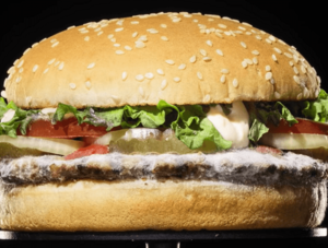 Verschimmelter Burger King Whopper