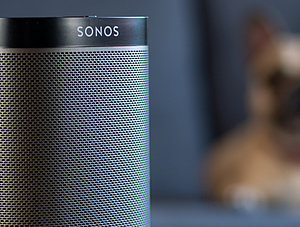 Hund und Sonos-Speaker