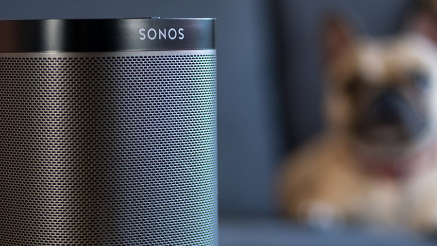 Hund und Sonos-Speaker