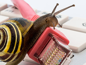 Schnecke auf Kabel &uuml;ber Tastatur