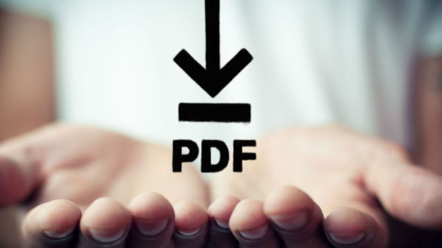 Hand h&auml;lt pdf-Symbol