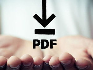 Hand h&auml;lt pdf-Symbol