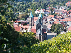 Blick auf Freyburg