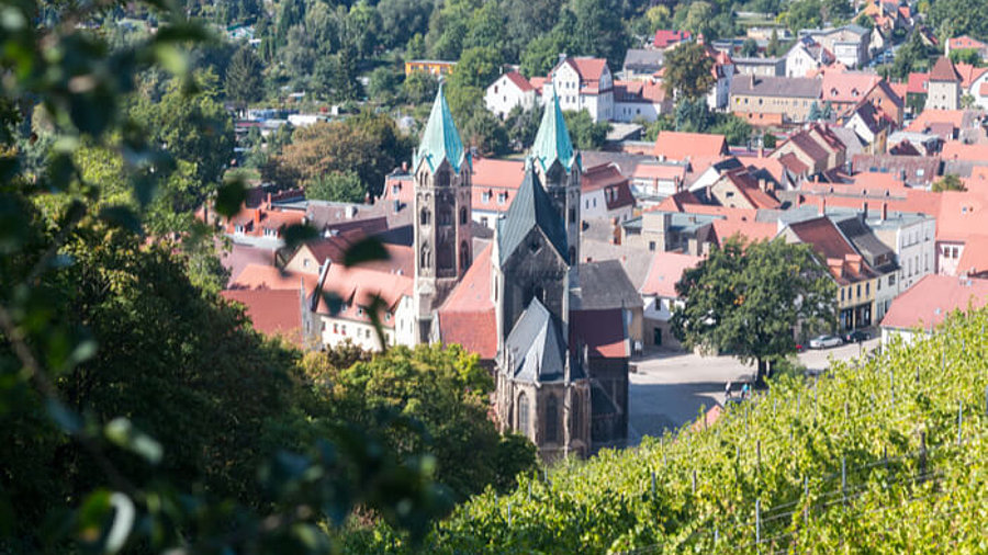 Blick auf Freyburg