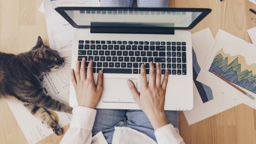 Homeoffice: Frau mit Laptop auf dem Schoß