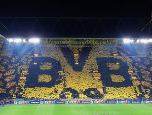 BVB: Fußballfans im Stadion