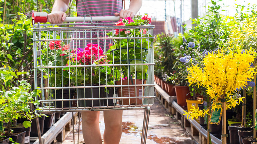 Frau mit Einkaufswagen im Gartencenter