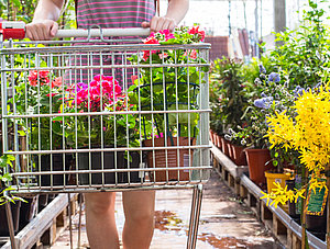 Frau mit Einkaufswagen im Gartencenter