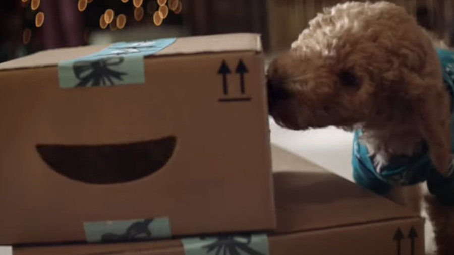 Hund leckt ein Amazon-Paket