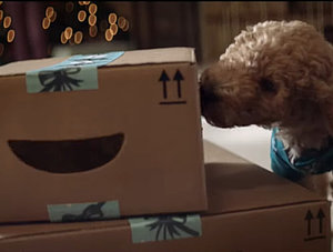 Hund leckt ein Amazon-Paket