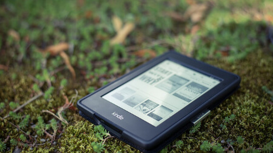 Kindle im Gras