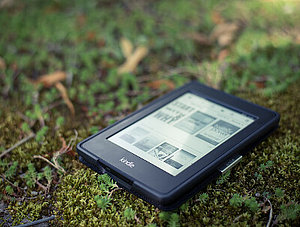 Kindle im Gras