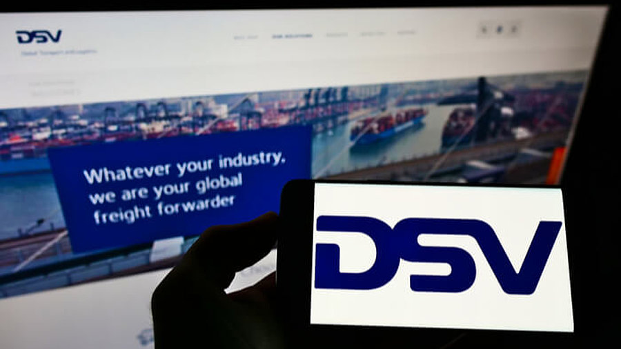 DSV Logo und Webseite